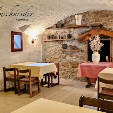 Vente - Bar - Restaurant - Tabac - Auberge - FDJ - Chanaz (73310)-photo-12