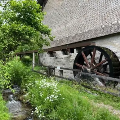 Location Local Commercial - Haute-Savoie (74)-photo-4
