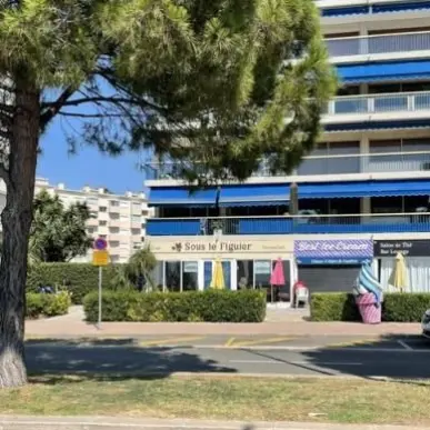 Location Local Commercial - Alpes-Maritimes (06)-photo-3