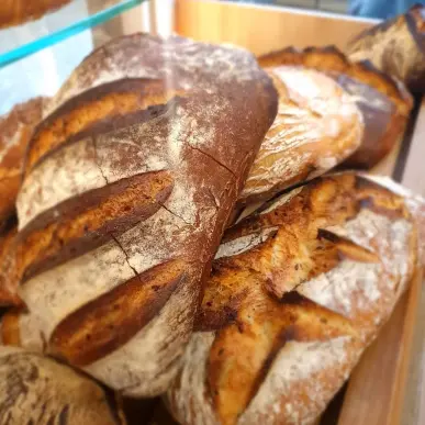 Vente - Boulangerie - Pâtisserie - Lot-et-Garonne (47)-photo-2