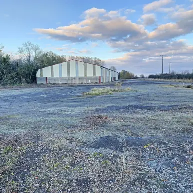 Vente Entrepôt / Local d'activités - Seine-et-Marne (77)-photo-6