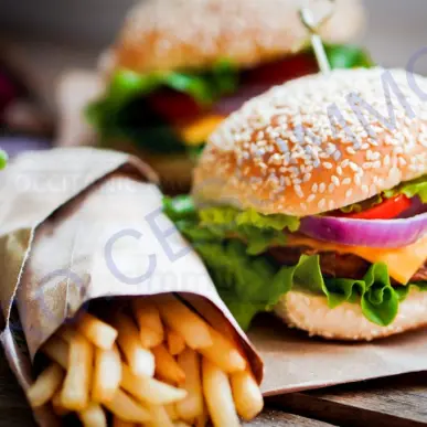 Vente - Restaurant - Restaurant rapide - Pizzeria - Snack - Aude (11)-photo-2