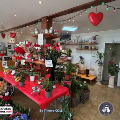 Vente - Fleuriste - Isère (38)-photo-7