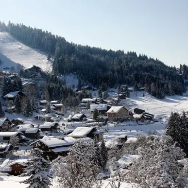Vente - Bar - Hôtel - Restaurant - Haute-Savoie (74)-photo-6