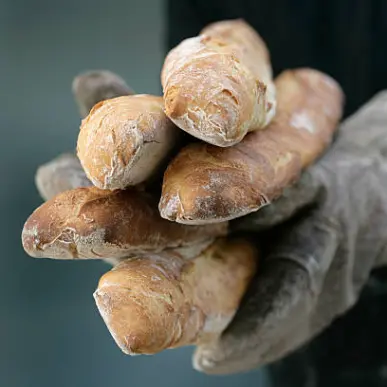 Vente - Boulangerie - Pâtisserie - Gironde (33)-photo-3