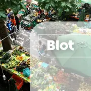 Vente - Alimentation - Epicerie - Rennes (35000)