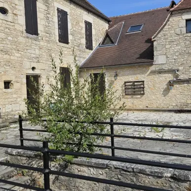 Vente - Hôtel - Restaurant - Beaumat (46240)-photo-3