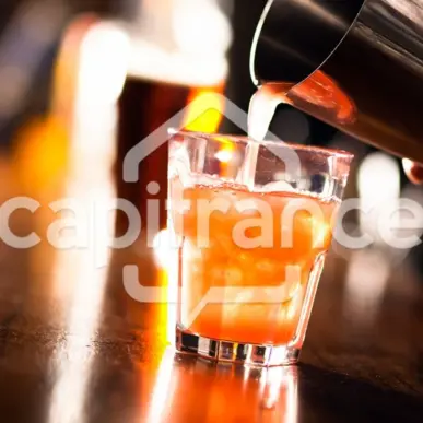 Vente - Bar - Restaurant - Glacier - Pyrénées-Orientales (66)-photo-3