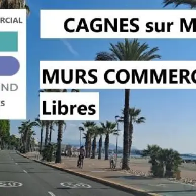 Location Local Commercial - Alpes-Maritimes (06)-photo-1