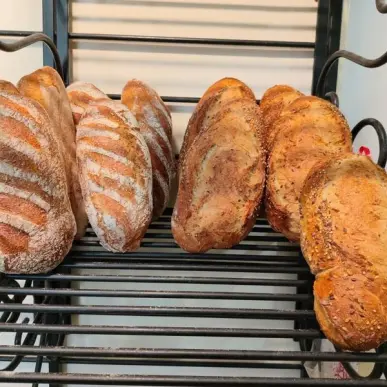 Vente - Boulangerie - Pâtisserie - Rochefort (17300)-photo-5