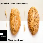 Vente - Restaurant - Boulangerie - Pâtisserie - Snack - Terminal de cuisson - Alpes-Maritimes (06)