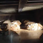 Vente - Boulangerie - Pâtisserie - Bio - Gironde (33)