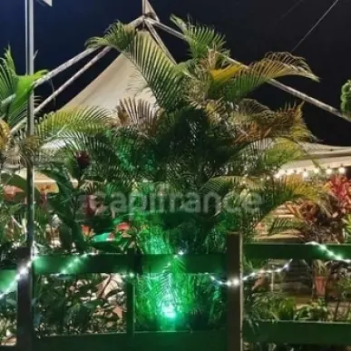 Vente - Restaurant - Sainte luce (97228)-photo-1