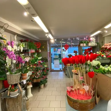 Vente - Fleuriste - Rouen (76100)-photo-7
