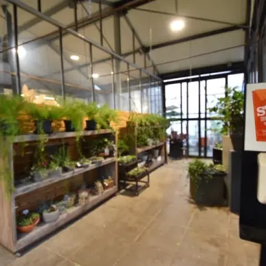 Vente - Fleuriste - Digoin (71160)-photo-6