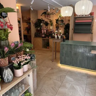 Vente - Fleuriste - Yvelines (78)-photo-7