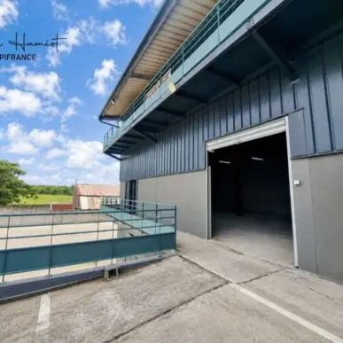 Location Local Commercial - Martinique (972)-photo-1