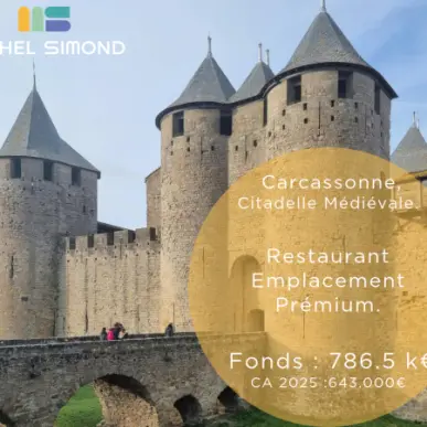 Vente - Restaurant - Aude (11)-photo-1