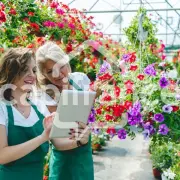 Vente - Fleuriste - Colombes (92700)