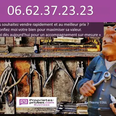 Vente - Centre automobile - Garage - Mécanique - Rhône (69)-photo-3