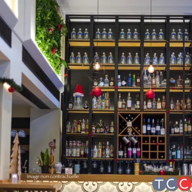Vente - Bar - Brasserie - Albi (81000)-photo-1