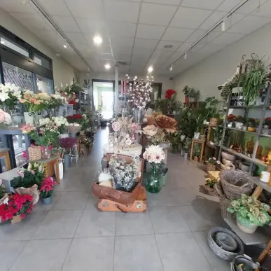 Vente - Décoration - Fleuriste - Charente-Maritime (17)-photo-6