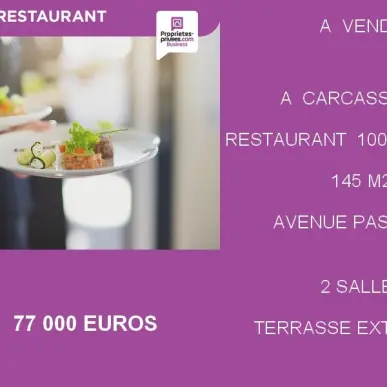 Vente - Restaurant - Aude (11)-photo-1