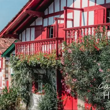 Vente - Hôtel - Restaurant - Pyrénées-Atlantiques (64)-photo-1