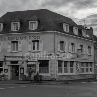 Vente - Hôtel - Restaurant - Avoine (61150)-photo-5