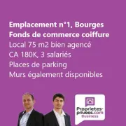 Vente -  - Cher (18)