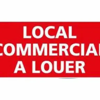 Location Local Commercial - Barcelonne-du-Gers (32720)-photo-4