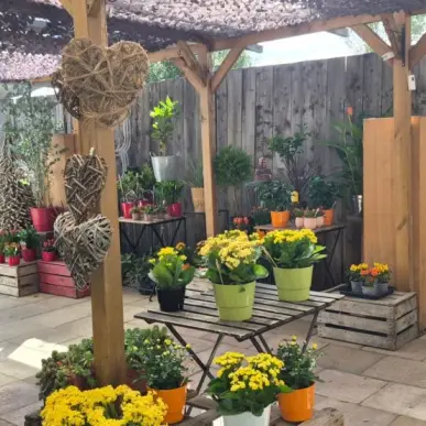 Vente - Fleuriste - Puy-de-Dôme (63)-photo-3