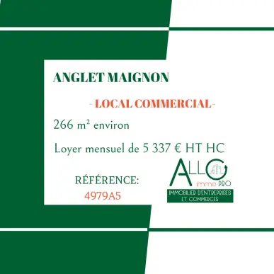 Location Local Commercial - Anglet (64600)-photo-2