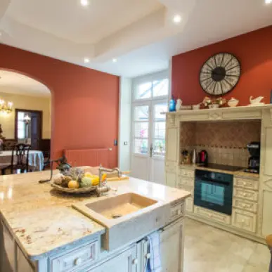 Vente - Gîte - Chambre d’hôtes - Barcelonne-du-Gers (32720)-photo-2