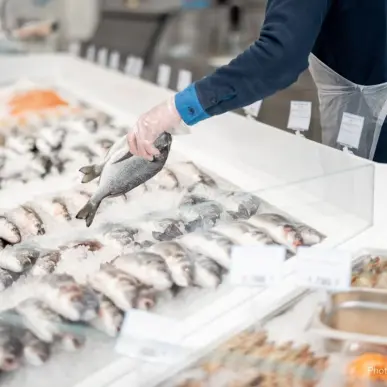 Vente - Poissonnerie - Rennes (35000)-photo-2