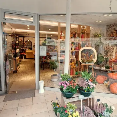 Vente - Fleuriste - Paray-le-Monial (71600)-photo-1