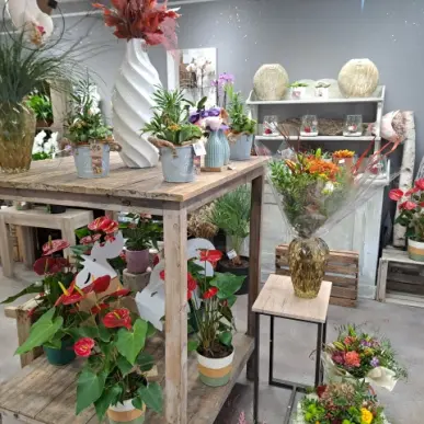 Vente - Fleuriste - Haute-Saône (70)-photo-1