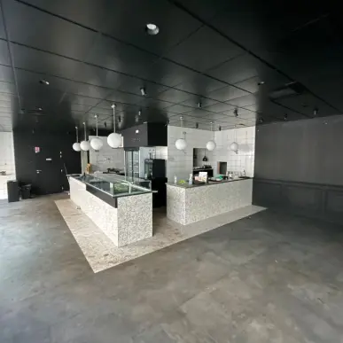Vente - Restaurant - Villeurbanne (69100)-photo-7