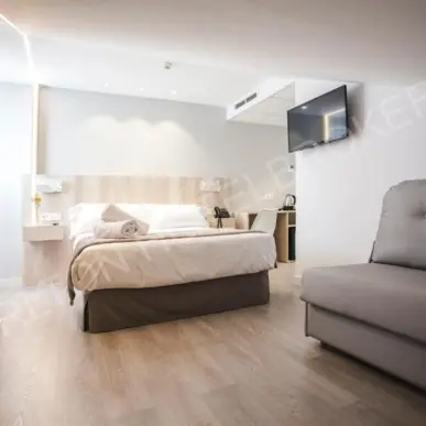 Vente - Hôtel - Loire (42)-photo-6