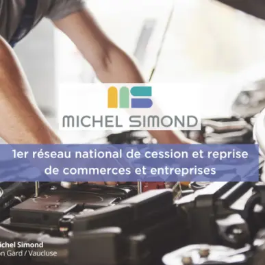 Vente - Garage - Motoculteurs - Gard (30)-photo-1