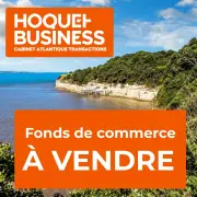 Vente - Luminaires - Charente (16)