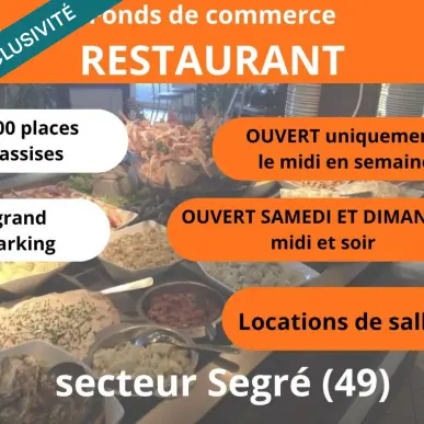 Vente - Restaurant - Pressing - Aviré (49500)-photo-1