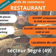 Vente - Restaurant - Pressing - Aviré (49500)
