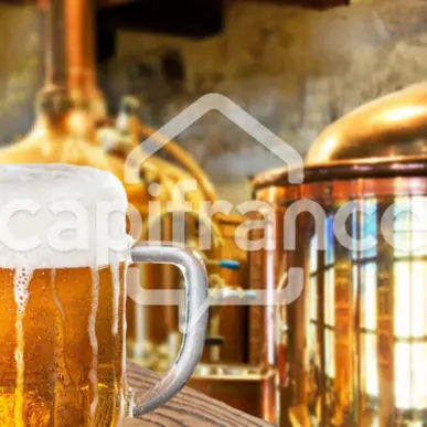 Vente - Hôtel - Restaurant - Café - Lille (59000)-photo-3