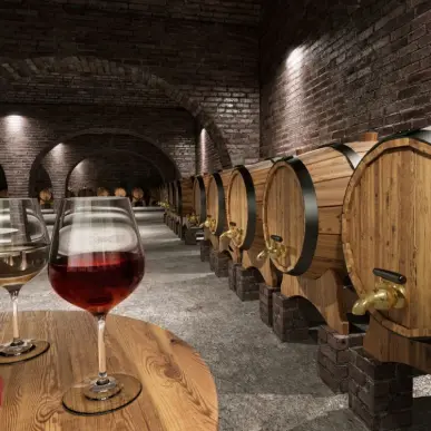 Vente - Cave à vins - Vins et spiritueux-photo-3