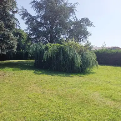 Vente Terrain ZI / ZA - Pau (64000)-photo-2