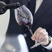 Vente - Bar - Brasserie - Cave à vins - Vins et spiritueux - Lyon 6ème (69006)