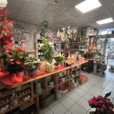 Vente - Fleuriste - Blet (18350)-photo-6