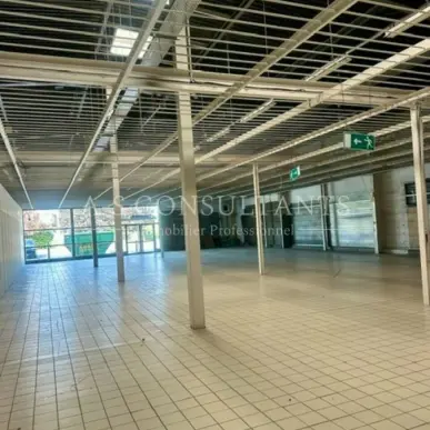 Location Local Commercial - Albertville (73200)-photo-11