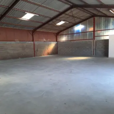 Location Entrepôt / Local d'activités - Tarn (81)-photo-2